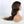 Load image into Gallery viewer, OrdweWigsOnline 4x4 Lace Closure Wig Body Wave Transparent Lace Wigs Ombre 1B/4/27# Human Wigs
